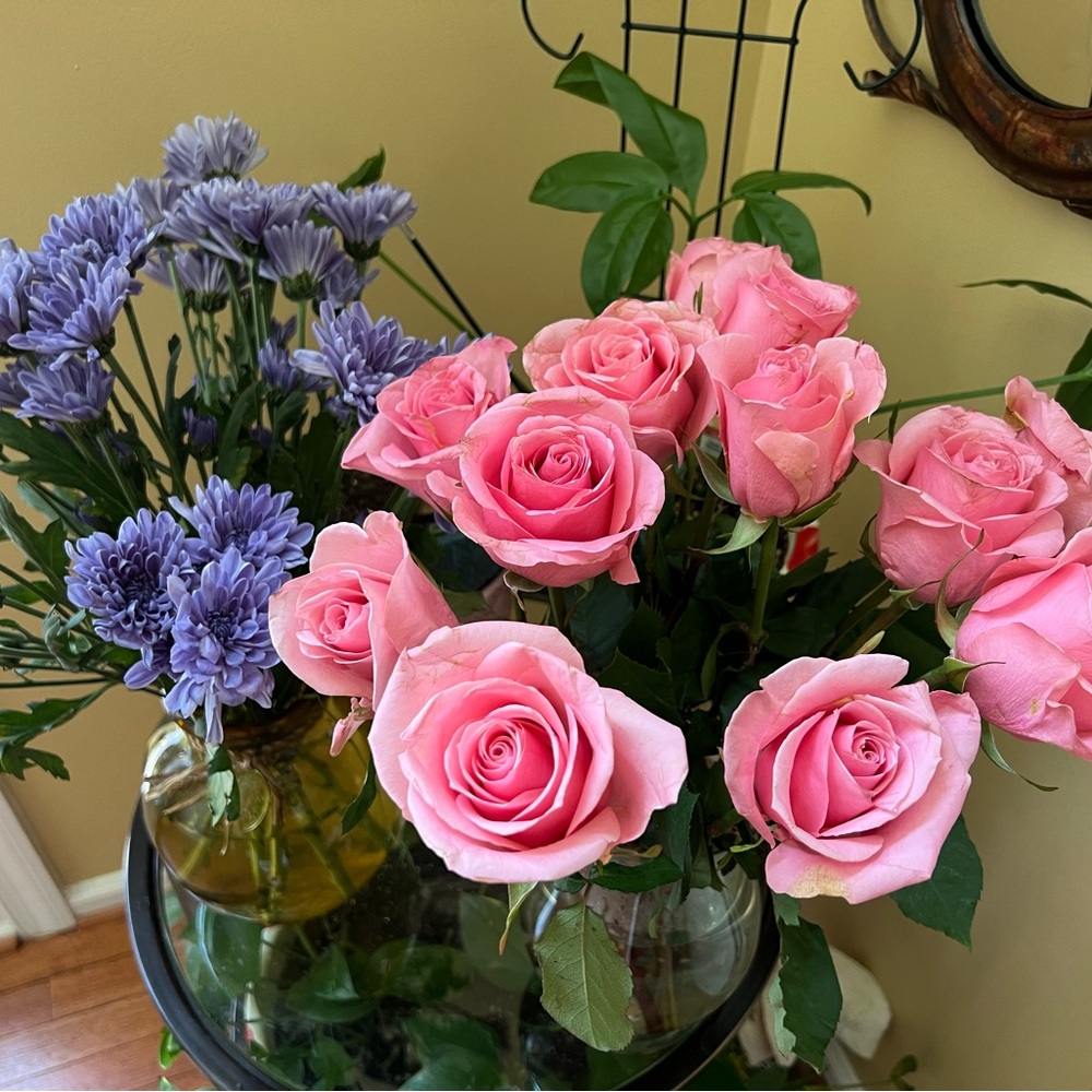 Meet your Posher, Bonnie